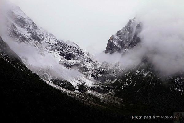 春雨直播app